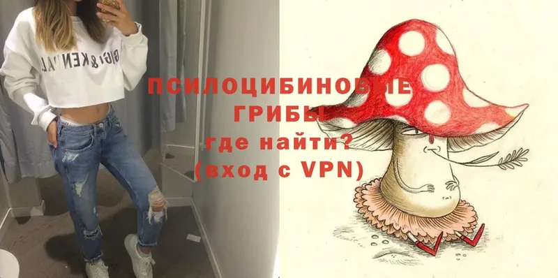 Псилоцибиновые грибы Psilocybine cubensis  гидра зеркало  Жуков 